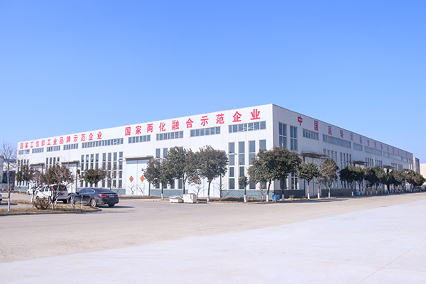 Warmly Congratulate Shandong Nanshan Zhongmei Information Technology Co., Ltd. on Formally Establishing