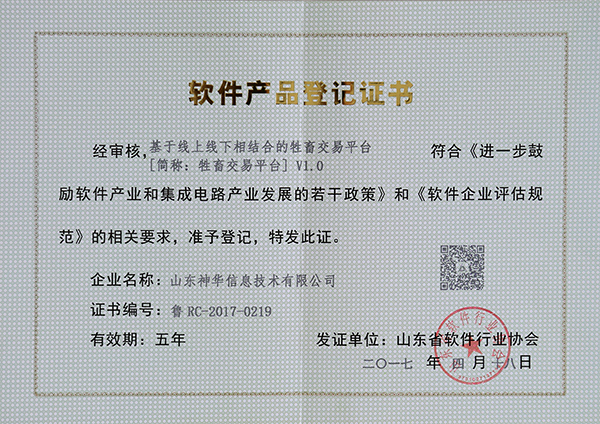 Congratulate China Coal Group Shandong Shenhua Information Technology Branch on Successfully Passing ‘Double Soft Certifications’