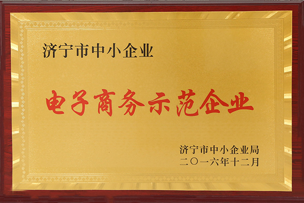 Warmly Congratulate Shandong China Coal Group On Being Honored As E-Commerce Demonstration Enterprise